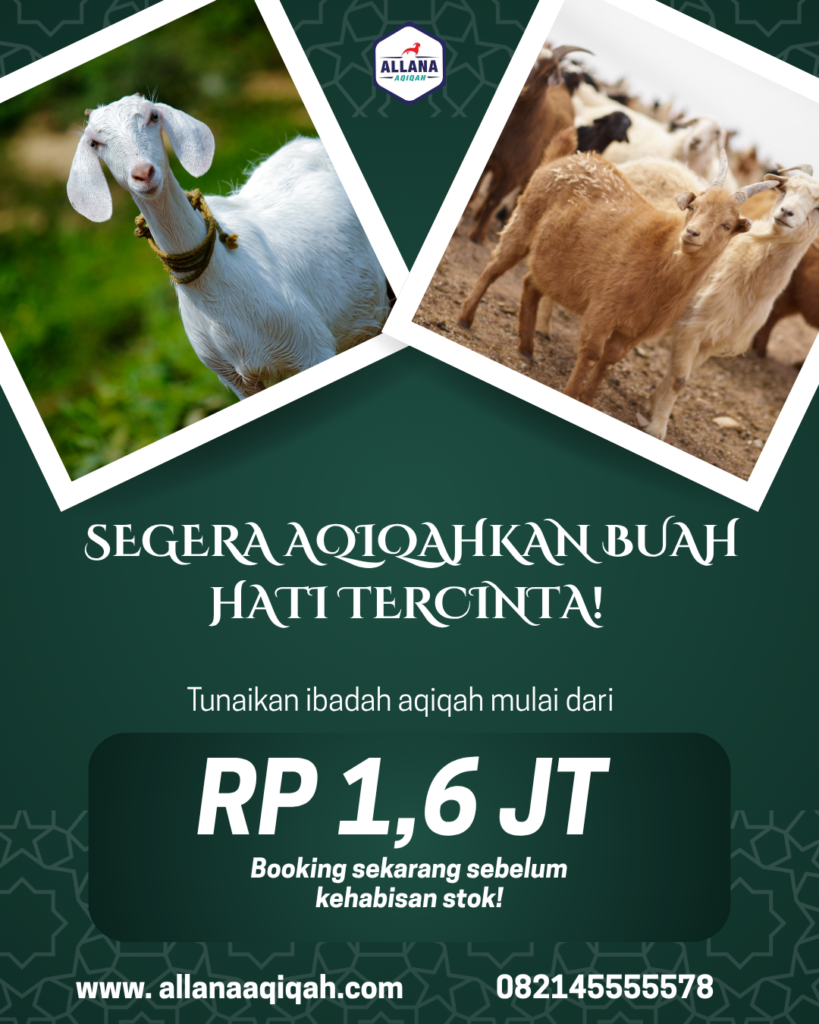 jasa aqiqah murah semarang layanan aqiqah semarang