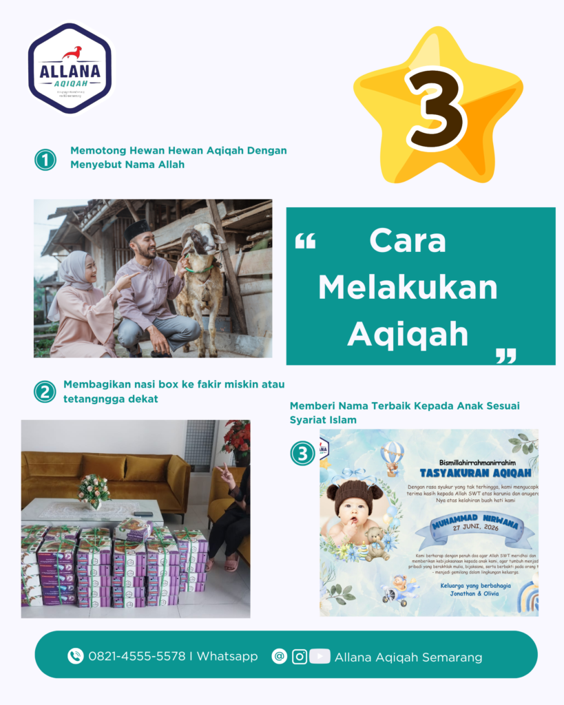 aqiqah murah semarang